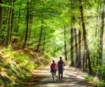 Wandern, Urlaub, Erzgebirge