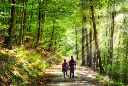 Wandern, Urlaub, Erzgebirge