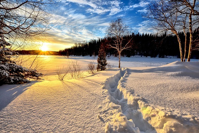 Verschneiter Waldweg im Erzgebirge – Winterwoche im Gasthaus Waldfrieden genießen