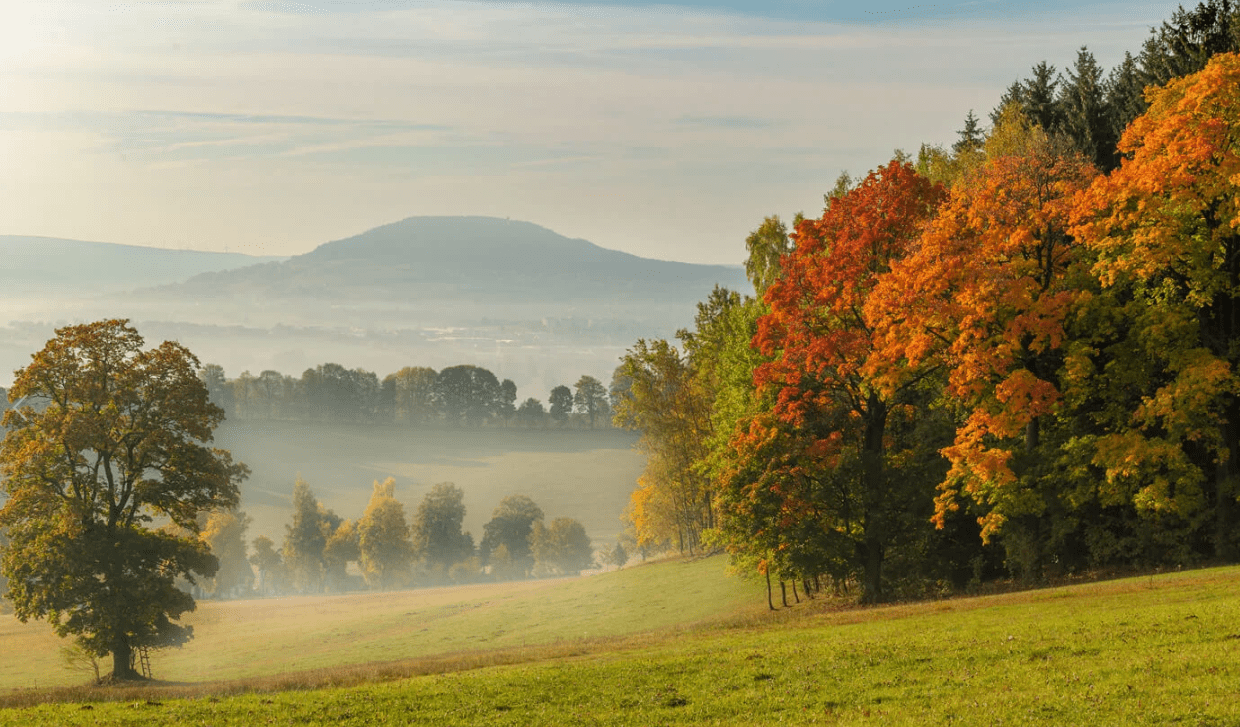 Herbstliche Landschaft im Erzgebirge mit Wanderweg und buntem Laub