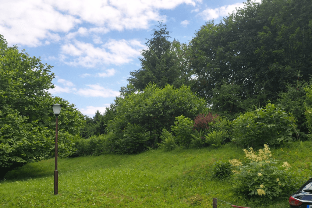 Außenanlage der Gasthaus-Pension Waldfrieden in Wolkenstein mit begrüntem Hang