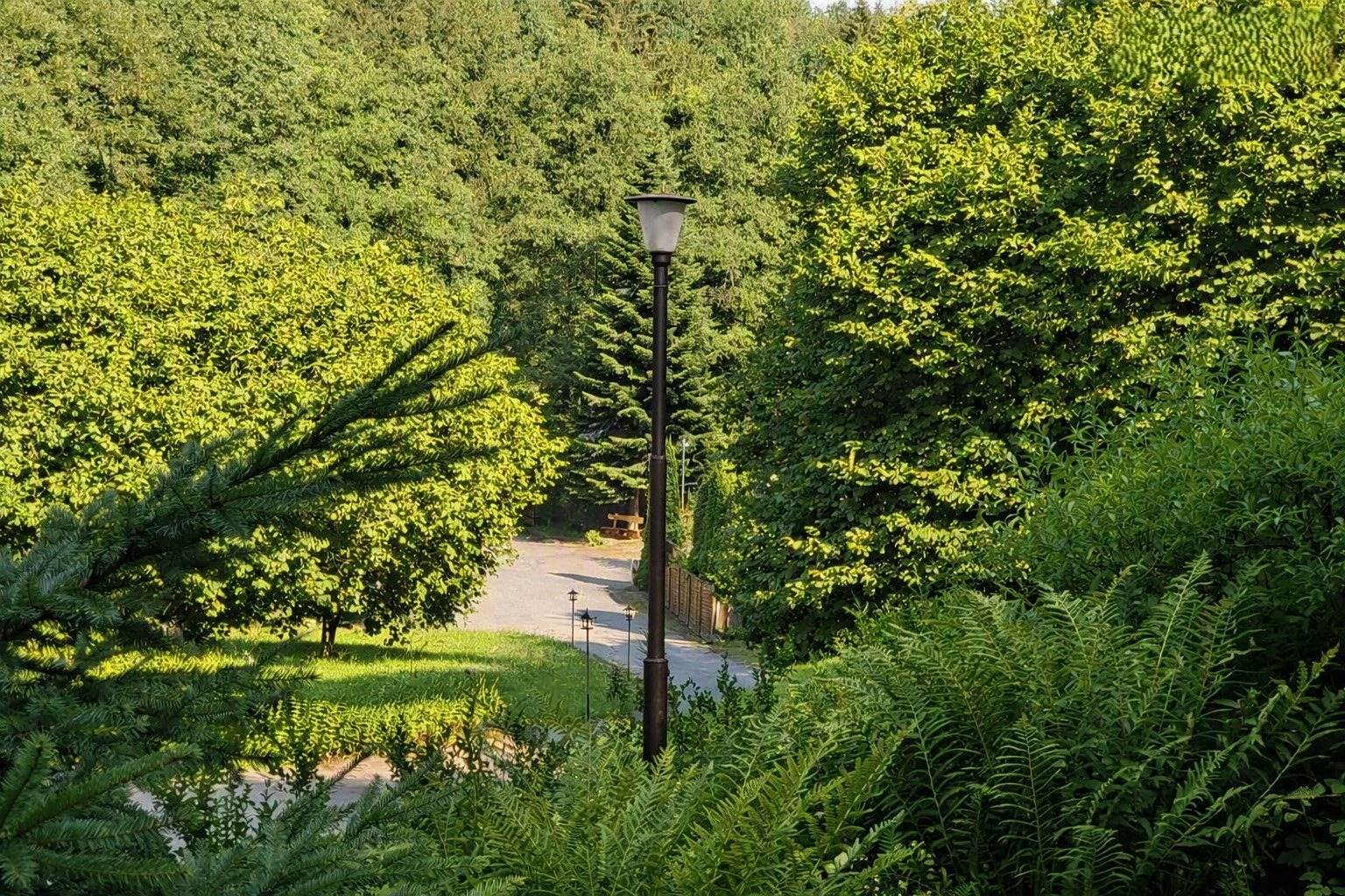 Laterne am Waldweg der Gasthaus‑Pension Waldfrieden Erzgebirge – Ruhe und Natur genießen